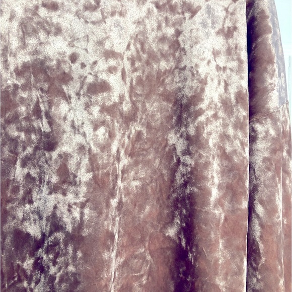 [FOREVER 21] Velvet Crewneck Sweatshirt - Picture 4 of 6